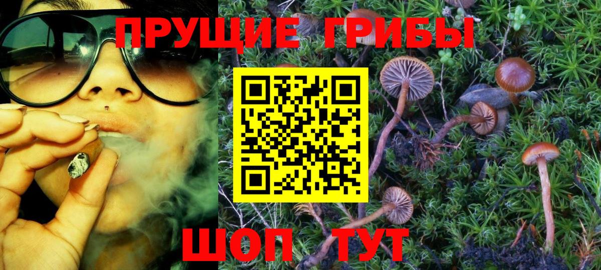 Галлюциногенные грибы GOLDEN TEACHER Сердобск