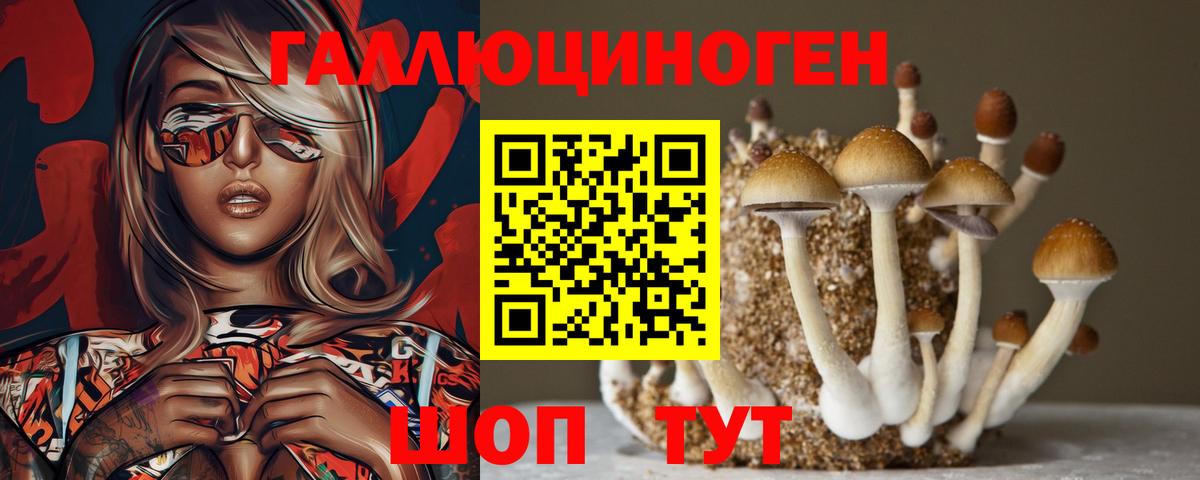 Галлюциногенные грибы GOLDEN TEACHER  Псилоцибиновые грибы мицелий  даркнет сайт  Вход с VPN  Сердобск 